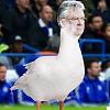Paddy Goose