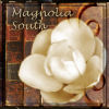 magnoliasouth