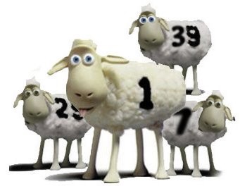 Click image for larger version

Name:	SHEEP.jpg
Views:	289
Size:	20.2 KB
ID:	712943