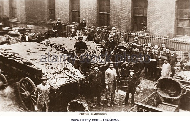 Click image for larger version

Name:	billingsgate-fish-market-fresh-haddock-dranha.jpg
Views:	353
Size:	102.0 KB
ID:	718430