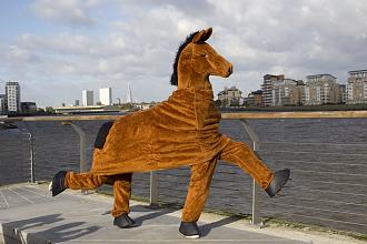 Click image for larger version

Name:	Panto Horse.jpg
Views:	727
Size:	167.0 KB
ID:	733686