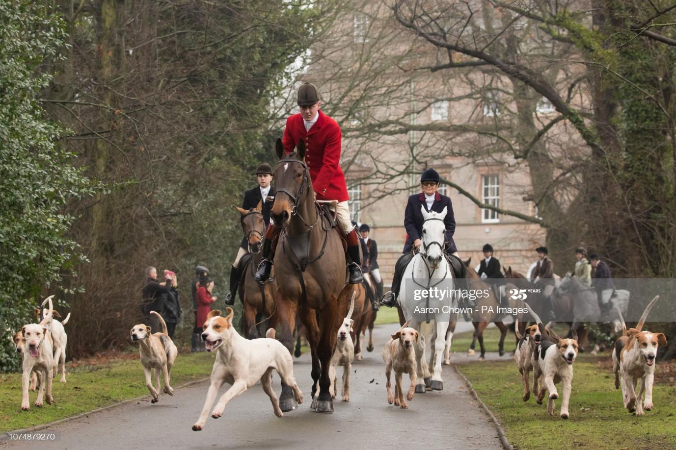 Click image for larger version

Name:	Albrighton Woodland Hunt. at Hagley Hall 06.jpg
Views:	394
Size:	209.1 KB
ID:	744632