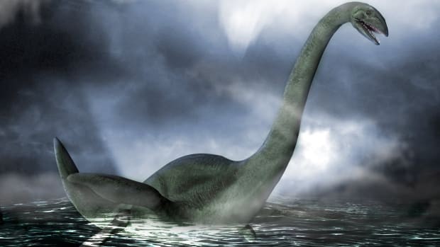 Click image for larger version

Name:	loch-ness-monster-sighted.jpg
Views:	252
Size:	30.0 KB
ID:	747226