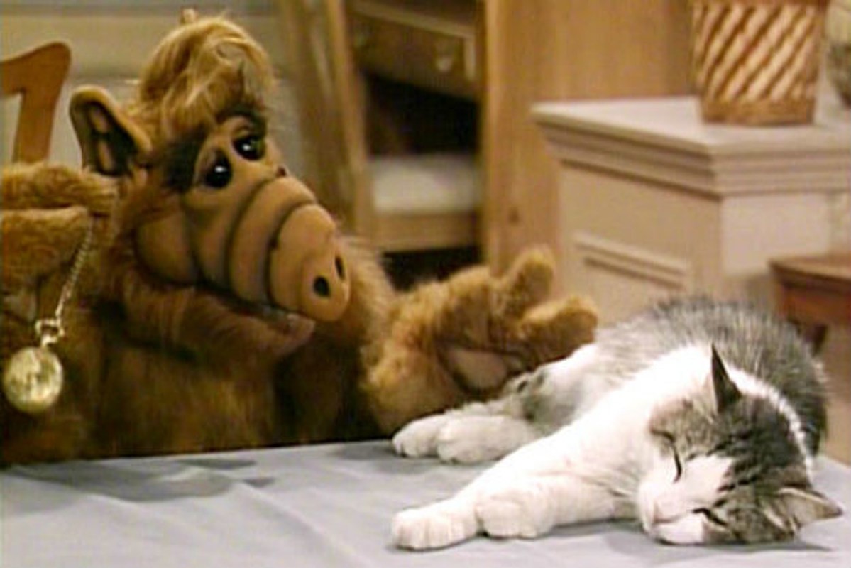Click image for larger version

Name:	Alf.jpg
Views:	197
Size:	124.1 KB
ID:	793861