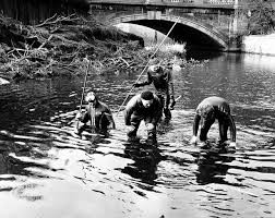 Click image for larger version  Name:	Police Underwater Unit Searching White Cart Water.jpg Views:	0 Size:	26.7 KB ID:	840275