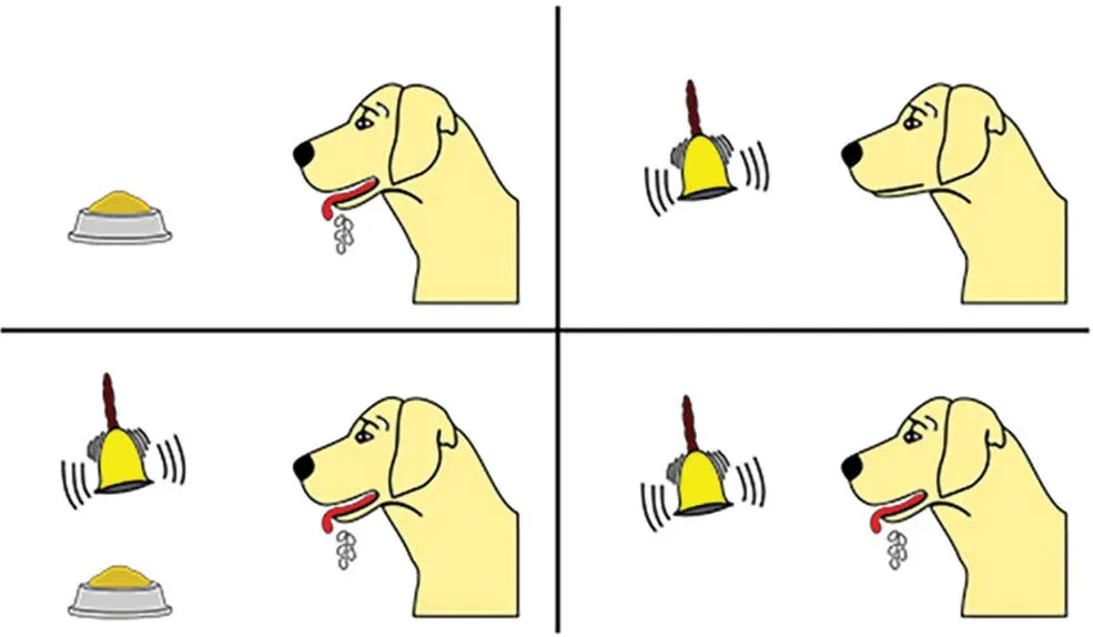 Click image for larger version

Name:	pavlov2-e1698175375621.webp
Views:	0
Size:	20.4 KB
ID:	859159