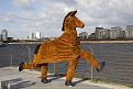 Panto Horse.jpg